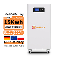 Batterie de stockage d'énergie solaire 15 kWh en stock UE avec roues, batterie solaire au lithium 51,2 V 300 Ah, BMS intelligent, batterie de stockage d'énergie domestique