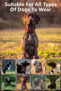 Rastreador GPS Portátil ESEEK para Perros de Caza, VHF+4G, <span class=keywords><strong>Mapa</strong></span> Fuera de Línea, Compatible con <span class=keywords><strong>Google</strong></span> <span class=keywords><strong>Maps</strong></span> - Product Image 2