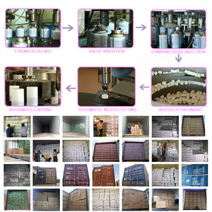 Aérosol insecticide <span class=keywords><strong>anti</strong></span>-nuisibles pour la maison, spray de contrôle des insectes - Product Image 6