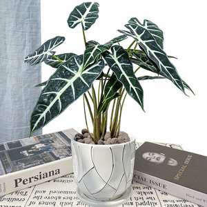 Tanaman Hijau Buatan KH Outdoor Custom ft, Daun Sea <span class=keywords><strong>Taro</strong></span> Palsu untuk Dekorasi Rumah dan Hotel - Product Image 2