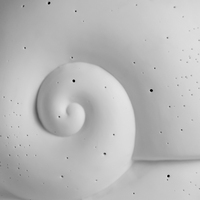 Lampe de chevet unique en forme d'animal, lampe de table artisanale en forme d'escargot, base de lampe irrégulière, lampe de nuit 3D, lampe de bureau