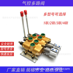 Vanne de commande directionnelle manuelle Sqzd L20 1t 2t 3t 4t pour huile hydraulique de chariot élévateur et d'excavatrice - Product Image 5