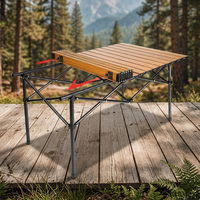 Table de camping pliable portable moderne en métal durable, légère, pour pique-nique en extérieur, avec sac de transport, compacte, pour randonnée, plage, barbecue, hôtel