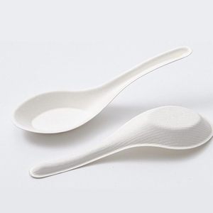 Biodegradable Disposable Finger <b>Food</b> Tray <b>Mini</b> Tasting Plate - Product Image 1