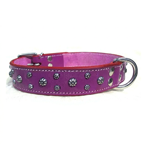 Collar para Gato de PU 100% Genuino de la Mejor Calidad, Ecológico, con Remaches y Diseño de Cuentas, Hecho en India, Real International Saddlery FPA-280 - Product Image 1
