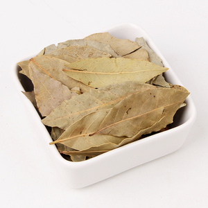 Épices à base de plantes chinoises feuille de <span class=keywords><strong>laurier</strong></span> séchée myrcia herbes séchées feuilles de <span class=keywords><strong>laurier</strong></span> 100% épices précieuses naturelles pour Cocktail de cuisine - Product Image 5
