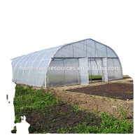Serre tunnel monocouche pour légumes, structure en acier galvanisé à chaud avec couverture en feuille plastique durable pour l'agriculture