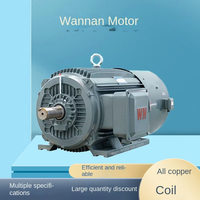 Motor de Control de Velocidad de Frecuencia Variable Trifásico Serie YE3VF de la Industria Wannan |   Eficiencia IE3 |   Bobina de Cobre Completa |   1500 rpm