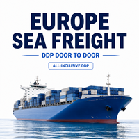 Transitaire allemand Agent maritime chinois DDP Expédition maritime porte-à-porte Logistique