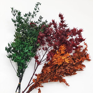 Hojas de Arce Decorativas para el Hogar, Color Rojo, Plantas Naturales con Hojas de Arce Inmortales para una Preservación Prolongada - Product Image 1