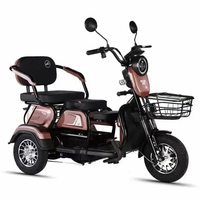 Tricycle électrique neuf d'usine à 3 roues, moteur 600W, pour familles, batterie 48V/60V/20AH, tricycle électrique élégant pour passagers
