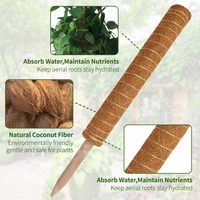 MOSS POLE Lot de 4 piquets de soutien en mousse de 17 pouces pour plantes grimpantes, accessoires d'intérieur - Piquets de soutien empilables pour plantes