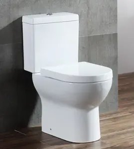 SAIRI Amazon热洁具生物现代陶瓷浴室Wc 2件便器