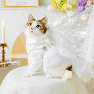 Venda quente Pet Puppy Cat Clothing Vestido De Noiva Temperamento Rainha Vestido De Noiva Coleção - Product Image 2
