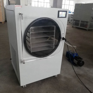 ミニ小型実験用凍結乾燥機食品野菜および果物家庭用凍結乾燥機 - Product Image 5