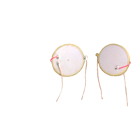 Élément piézoélectrique AT-21.5T-3.8BD, électrode complète de 21 mm, 3,8 kHz, disque piézo-céramique de 21 mm, alarme sonore, type à fil, petite taille, faible puissance