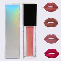 Rouge à lèvres liquide en tube transparent personnalisé 136 couleurs brillant mat longue durée imperméable facile à appliquer brillant à lèvres hydratant en vrac