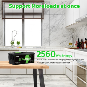 Batería de Ciclo Profundo de 12V/24V/48V 100Ah con BMS, Disponible en EE. UU., UE, Alemania y Polonia, Generador Solar Portátil, Energía de Emergencia, Uso en Exteriores - Product Image 3