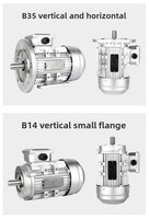 Motor Listrik Asinkron Satu Fasa/Tiga Fasa YS Cangkang Aluminium 380V/220V Horizontal 1400 Rpm 0.37/0.55/0.75/1.1/1.5/2.2/4KW