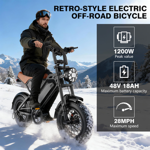 มอเตอร์ล้อหลังลิเธียม Retro 48V 13AH 5 สปีด ระบบกันสะเทือนเต็มรูปแบบ โครงเหล็กคาร์บอนสูง พร้อมตะแกรงหลัง - Product Image 1