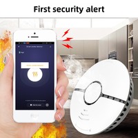 Detector de Humo Inteligente WiFi para el Hogar, Material PC, Diseño Graffiti, Control por Aplicación, Sensor de Seguridad Inalámbrico, Alarma de Concentración, Uso Universal