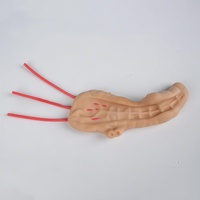 Modelo de Simulación Quirúrgica Laparoscópica para Pancreatoojenojoestomía, Módulo de Práctica de Sutura y Corte
