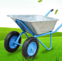 250kg 500kg Petite brouette à plat Chariot à main Camion agricole Mini Dumper Chariot pour jardin Béton