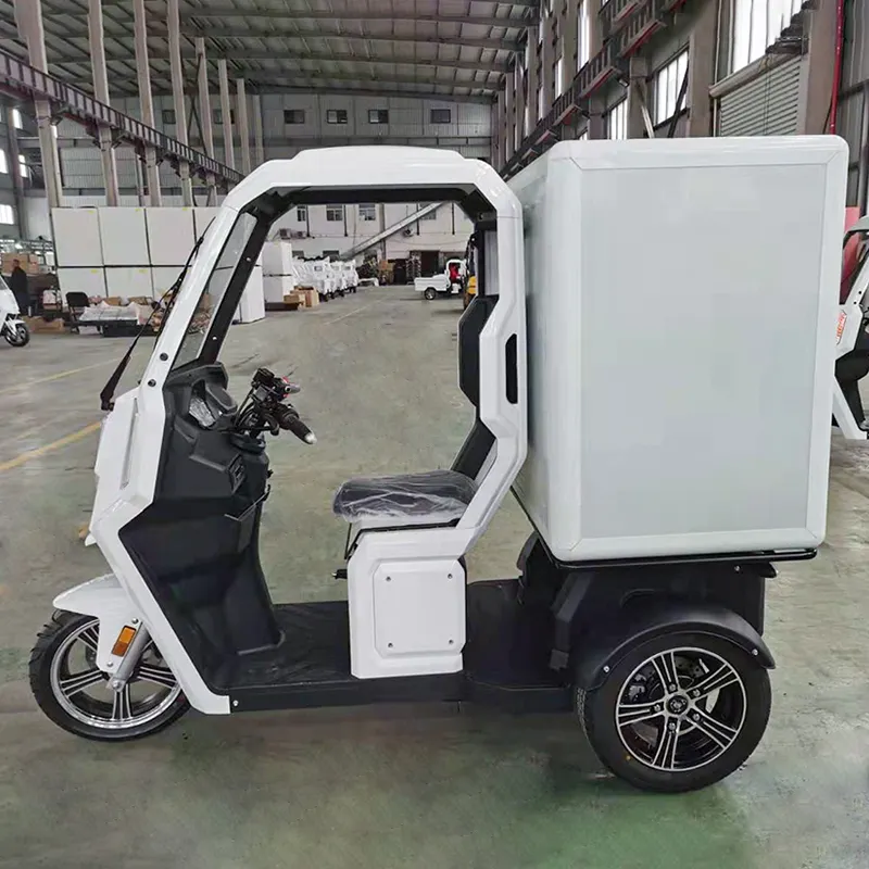 New Model Express Cargo 3 Wheel Enclosed Electric Tricycle and Delivery Motorcycles with Box for Low Price Sale