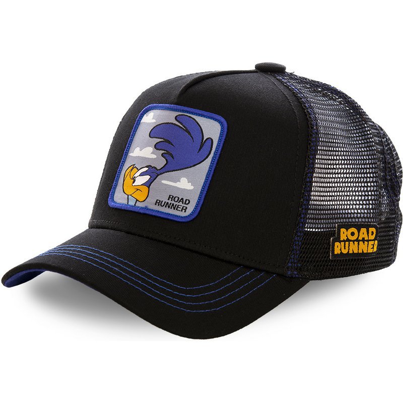 pájaro negro