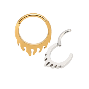 Fábrica lista para enviar G23 titanio aro Clikers segmento anillo alto pulido y oro joyería cuerpo hélice lóbulo pendiente - Product Image 5