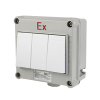 Interruptor de Pared ATEX a Prueba de Explosiones y Anticorrosión, Interruptor de Pared Táctil