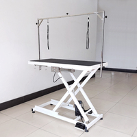 LZ Grandes tables de toilettage électriques à chaud pour chiens avec prise Table de toilettage pour chiens à vendre Groomer Pet Salon Pet Shop 1pcs