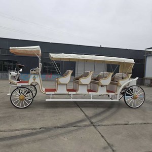 Vente en gros de calèches électriques, calèches de mariage électriques, calèches électriques de style européen pour la visite des monuments - Product Image 2