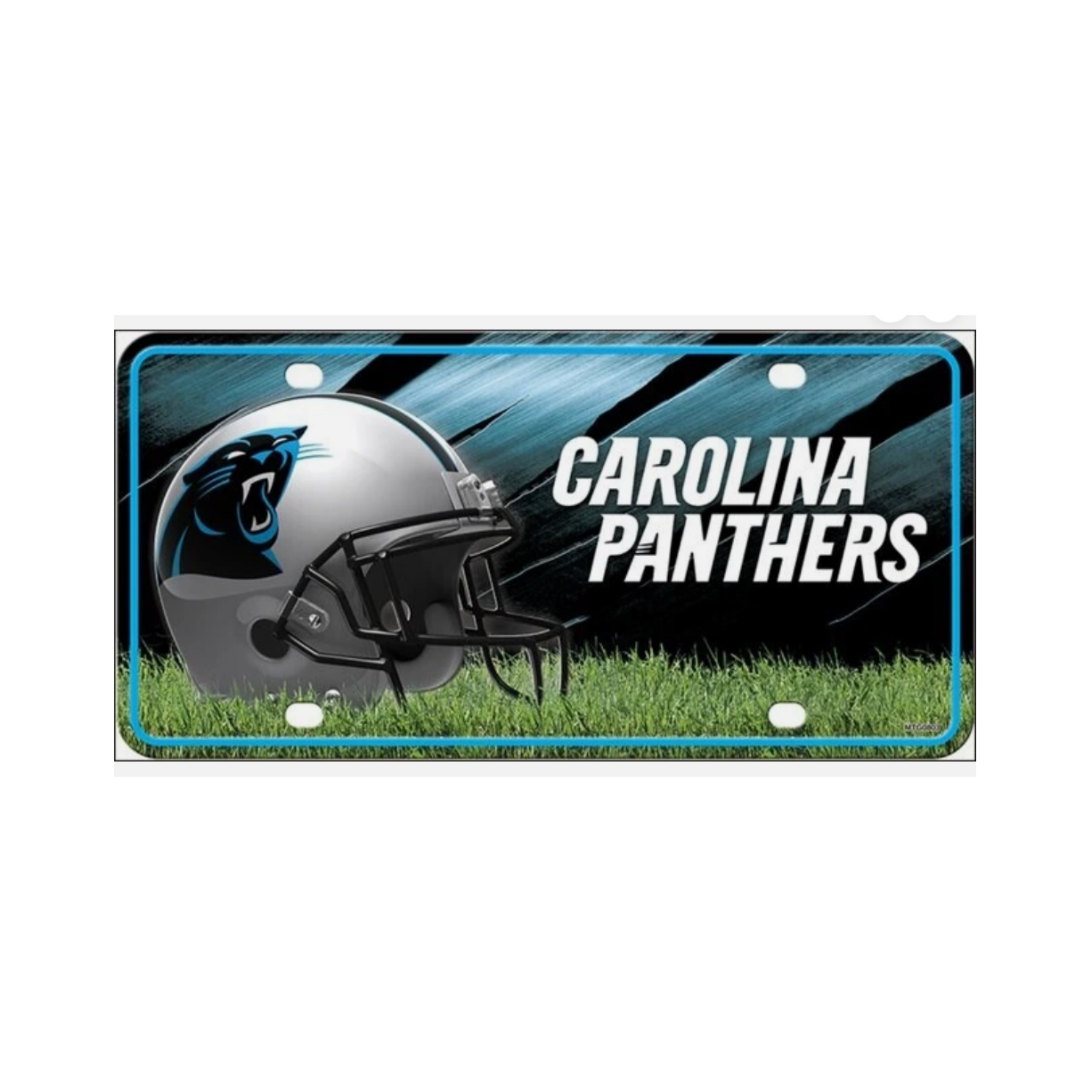 แคโรไลนา แพนเธอร์ส4