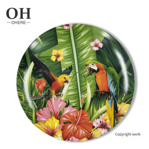 Autocollant <span class=keywords><strong>de</strong></span> perroquet coloré sur porcelaine émaillée fournitures <span class=keywords><strong>de</strong></span> fête <span class=keywords><strong>jetables</strong></span> Style ensemble <span class=keywords><strong>de</strong></span> vaisselle en céramique-assiette à salade plat à salade - Product Image 3