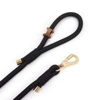 Produit populaire sur TikTok pour animaux de compagnie, laisse en polyester pour gros chiens, laisse de haute qualité avec boucle dorée, laisse de chien tendance, laisses pour animaux de compagnie