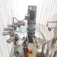 Mélangeur en acier inoxydable Guanyu pour la fabrication de liquides vaisselle, de shampoings, de lotions corporelles et de détergents capillaires