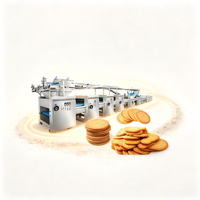 La ligne de production de biscuits pour desserts est automatique et électrique, avec four de cuisson, capacité de 500 kg, 380 V