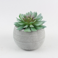 Pot de Plante Succulente Moderne sur Mesure en Ciment pour la Décoration Intérieure – Divers Types de Pots à Bonsaï et Jardinières