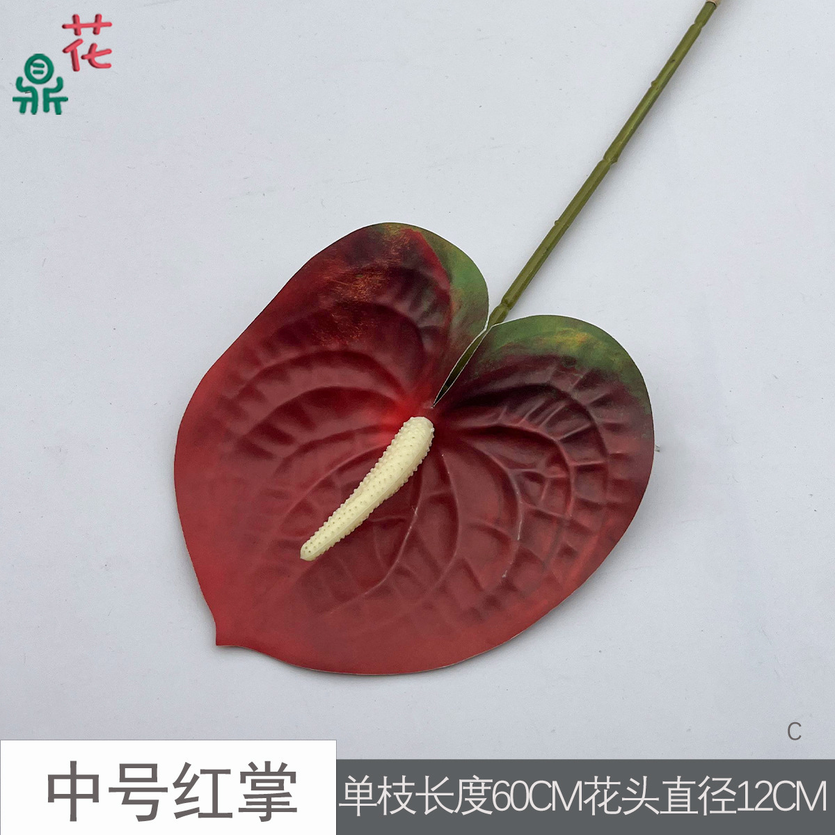 Anthurium rouge de taille moyenne C 25 rouge vin