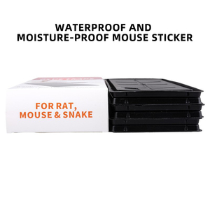 Trappola per Topi in Plastica Nera Resistente con Adesivo Forte, Soluzione Monouso ed Efficace per il Controllo dei Roditori per Uso <span class=keywords><strong>Interno</strong></span> - Product Image 5