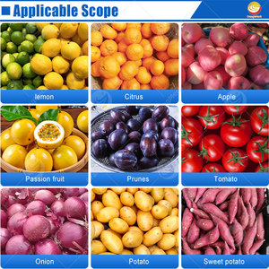 ORME 자동 체리 토마토 분류기 작은 망고 키위 열정 과일 야채 크기 정렬 학년 기계 - Product Image 6