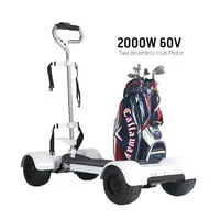 Newest Electric Golf Scooter für eine Person 2000W 60V /18.2AH batterie mini elektrische golf auto roller golf warenkorb