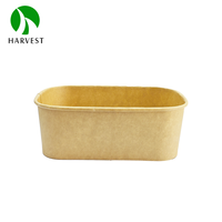 Conteneur alimentaire jetable biodégradable en kraft rectangulaire de 500 ml, boîte à bento pour barbecue, boîte à nouilles Yaki