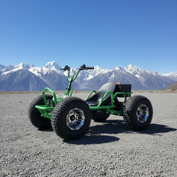 Kart électrique 48V 500W pour la course, le drift et la piste, charge maximale : 300 kg, conçu pour les pistes de jardin et les courses en plein air