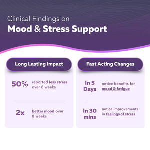 Özel Marka Organik Safran Ekstresi Antioksidan Takviyesi GMP Sertifikalı Yetişkinler İçin Sakinlik ve Odaklanma Vegan Kapsülleri - Product Image 5