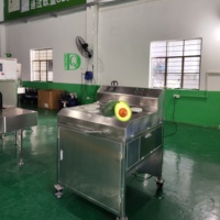 Dq Guangzhou Daqiao Industriële Commerciële Vers Fruit Snijmachine Avocado Snijden Verwerking Productielijn Motor Kerncomponenten