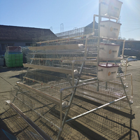 Cage à poulets en A à 3 niveaux entièrement automatique, équipement d'élevage avicole en plastique pour poules pondeuses, maisons pour oiseaux et poussins en promotion