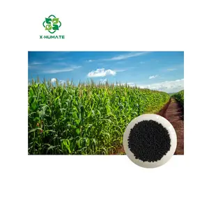 X-humate supply Leoardite source organic farming Humic acid material