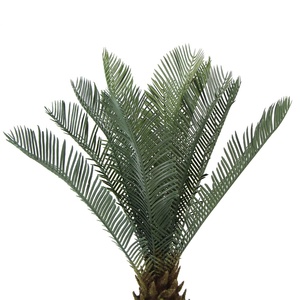 Cycas Revoluta-Semillas de palmera artificiales para interior y exterior, plantas artificiales de plástico de Color verde para todas las estaciones - Product Image 2